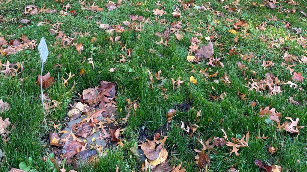 Site in cemetery, with a marker awaiting gravestone.